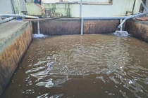 Dân kêu nước bẩn: Nhà máy nước đồng ý chuyển giao cho đơn vị khác