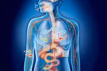 Biết sự kỳ diệu của cơ thể con người để phát hiện sớm những khác thường