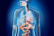 Biết sự kỳ diệu của cơ thể con người để phát hiện sớm những khác thường