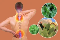 Làm sạch mạch máu thải độc, chữa đau lưng, cột sống