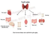 Xét nghiệm kháng thể TRAb có những giá trị gì?