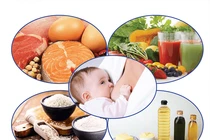 Cách ăn bổ sung cho trẻ từ 6 tháng tuổi để trẻ cao lớn, khỏe mạnh