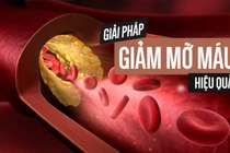 Thực đơn vàng cho người máu nhiễm mỡ