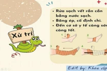 Đắp thuốc nam trị rắn cắn, trẻ 10 tuổi nguy kịch: xử lý đúng cách nào?