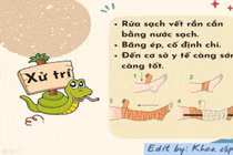 Đắp thuốc nam trị rắn cắn, trẻ 10 tuổi nguy kịch: xử lý đúng cách nào?