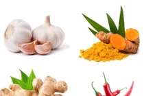 Bật mí các loại củ gia vị có tác dụng chống ung thư không ngờ