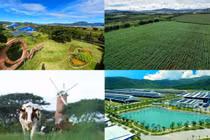 “Ông lớn” ngành sữa phát triển “nông nghiệp bền vững”