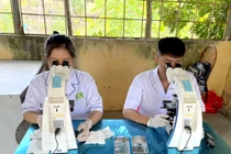 Quảng Ninh: 55/200 người xét nghiệm bị nhiễm sán lá gan nhỏ do ăn hải sản sống