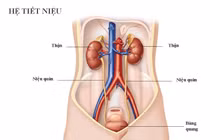 Nhiễm trùng tiểu thai kỳ dễ hỏng thận và ảnh hưởng xấu đến thai kỳ