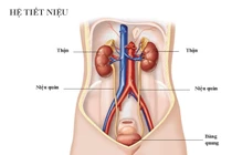 Nhiễm trùng tiểu thai kỳ dễ hỏng thận và ảnh hưởng xấu đến thai kỳ