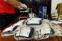 Thiếu máu nghiêm trọng ở Đồng bằng sông Cửu Long do không có vật tư