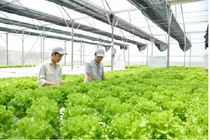 Hà Nội: Siết chặt quản lý chất lượng hàng nông sản