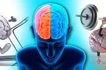 Tập luyện làm khỏe não bộ, tăng trí thông minh