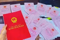 Đất ruộng có được cấp sổ đỏ?