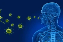 Bác sĩ mách cách phòng bệnh đường hô hấp mùa đông xuân