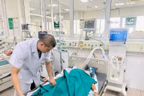 Bị mèo cắn, người đàn ông nguy kịch