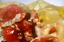 Mua nấm đỏ ngoài chợ về ăn, bệnh nhân 37 tuổi bị ngộ độc suy thận cấp