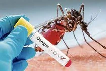 Địa chỉ vàng: Các trung tâm xét nghiệm sốt xuất huyết tại nhà ở Hà Nội
