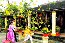 Xuất hành, ngày Tết, quý Mão