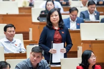 Bộ trưởng Đào Hồng Lan trả lời tại Kỳ họp thứ 5, Quốc hội khóa XV