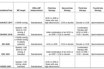 Chiến lược điều trị tăng huyết áp ở bệnh nhân có bệnh thận mạn năm 2023