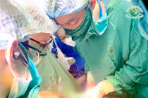 Bảo tồn tử cung cho thai phụ rau cài sâu vào tử cung, bàng quang