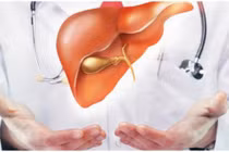 Người bệnh đái tháo đường có cần dùng thuốc bổ gan?