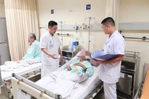 Đỡ đẻ cho lợn người đàn ông bị cắn rách dương vật và mất tinh hoàn