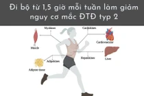 Đi bộ 1,5 giờ mỗi tuần giảm nguy cơ mắc bệnh thần kinh và bệnh thận