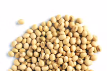 Người bệnh ung thư vòm họng nên ăn gì?