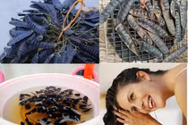 Dưỡng tóc bằng nguyên liệu thiên nhiên