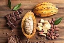 Cacao - siêu thực phẩm cho trái tim, não bộ và làn da
