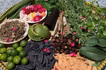 Dầu gội đầu thảo dược, có thật sự tự nhiên như quảng cáo?