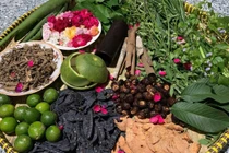 Dầu gội đầu thảo dược, có thật sự tự nhiên như quảng cáo?