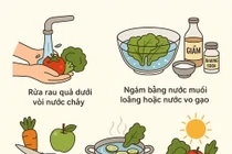Cách sơ chế giúp giảm tồn dư hóa chất trong rau quả trước khi ăn