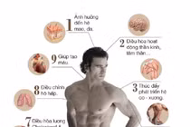 Nam giới làm gì khi testosterone thấp?
