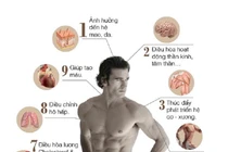 Nam giới làm gì khi testosterone thấp?