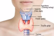 Ảnh hưởng của stress và giấc ngủ đến chức năng tuyến giáp