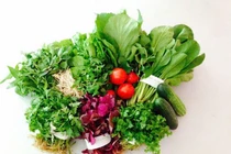 Tự kiểm chứng rau sạch khi đi chợ