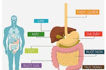 Chủ động tầm soát ung thư, thói quen sống còn trong thời hiện đại