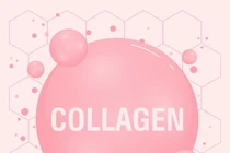 Giải mã tác dụng của collagen – uống sao cho đúng?