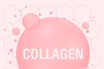 Giải mã tác dụng của collagen – uống sao cho đúng?