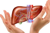 Thanh lọc gan, khởi động lại sau chuỗi ngày tiệc tùng