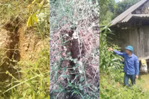 Núi nứt dài hơn hàng chục mét, Quảng Bình di dời nhiều hộ dân