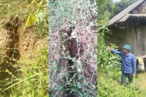 Núi nứt dài hơn hàng chục mét, Quảng Bình di dời nhiều hộ dân