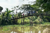 Truy bắt cá sấu nặng gần 40kg nổi trên sông ở Long An 