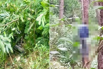 Vụ sát hại vợ và mẹ vợ ở Nghệ An: Nghi phạm treo cổ tự tử