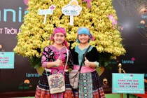 Choáng với chậu lan hồ điệp “khủng” giá gần 1,7 tỉ ở Hà Nội