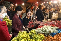 Chợ hoa đêm lớn nhất Hà Nội tất bật ngày cuối năm