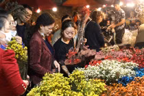 Chợ hoa đêm lớn nhất Hà Nội tất bật ngày cuối năm